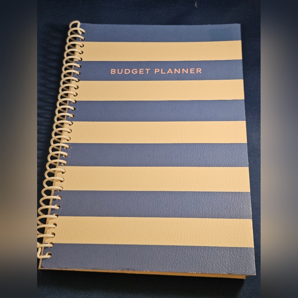 Blue and Cream Budget Planner